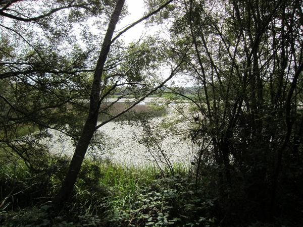 Lago Cospeito